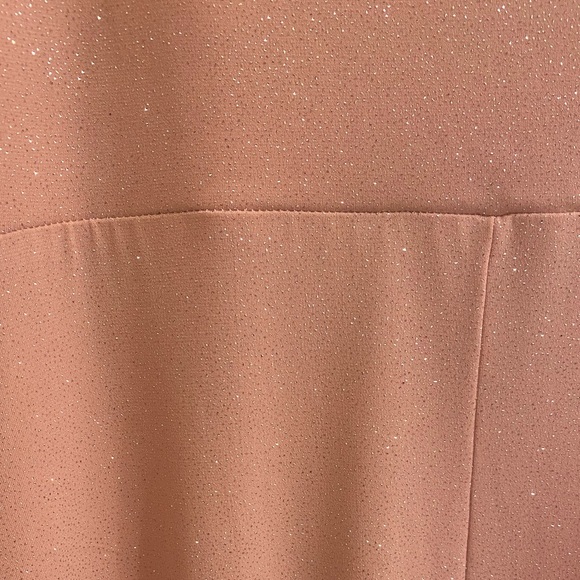 Pink Sparkly Formal Dress | En Focus Petite | Leg Slit at Bottom - Picture 6 of 6